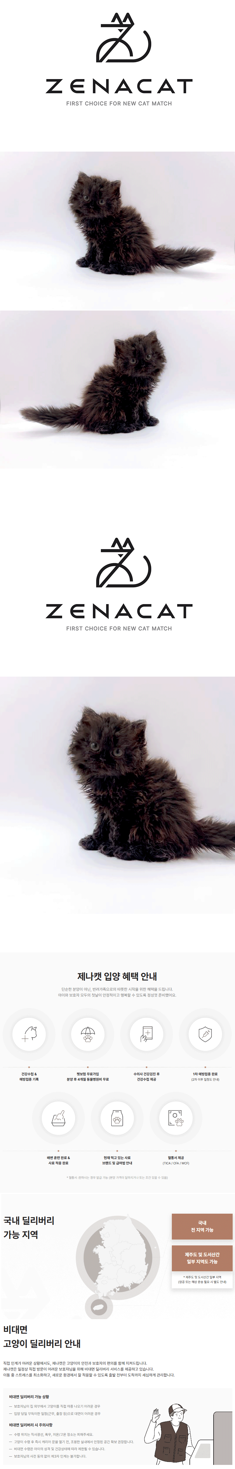 coco1.gif
