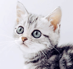 j2.gif