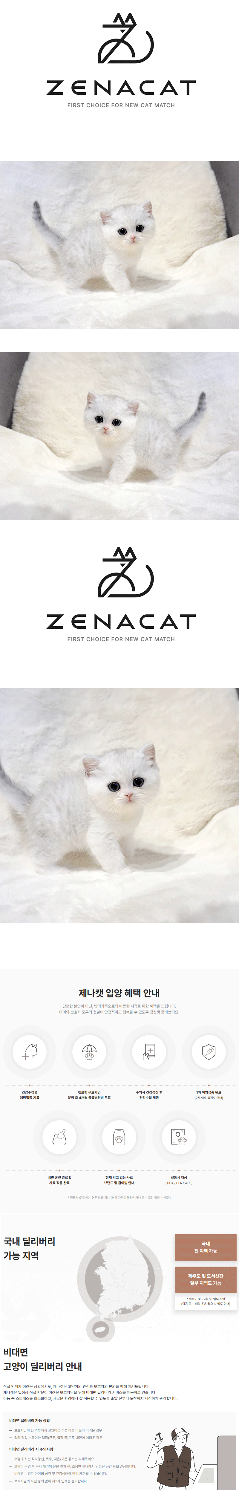 bn1.gif