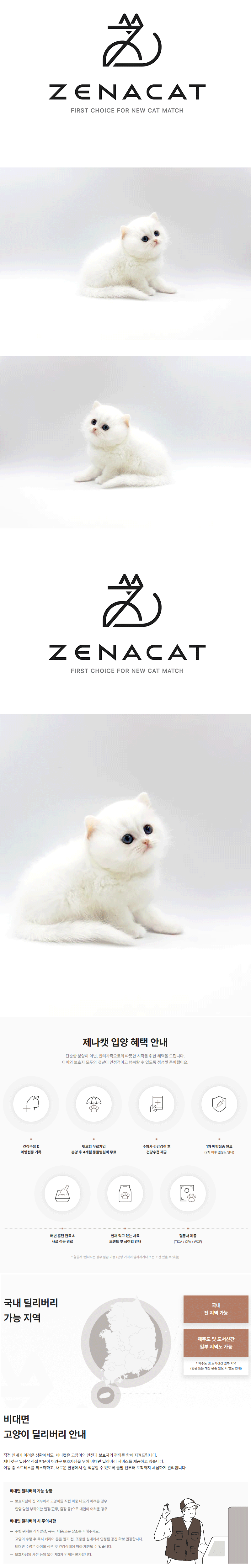 31.gif