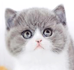 bbbbb2.gif