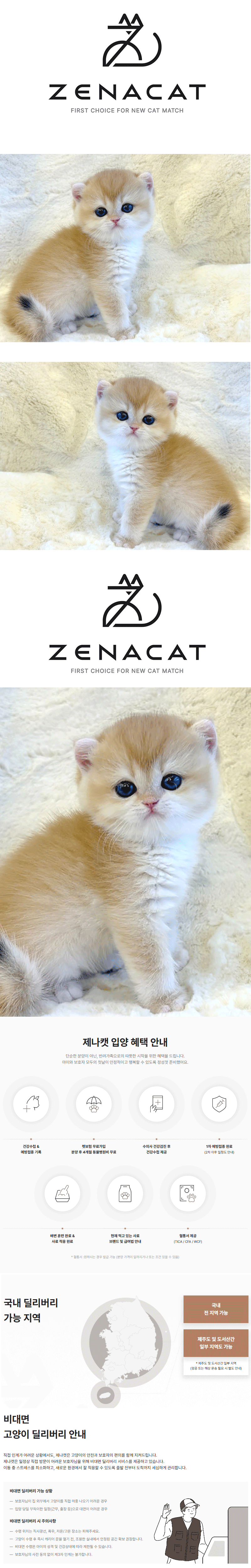 w1.gif