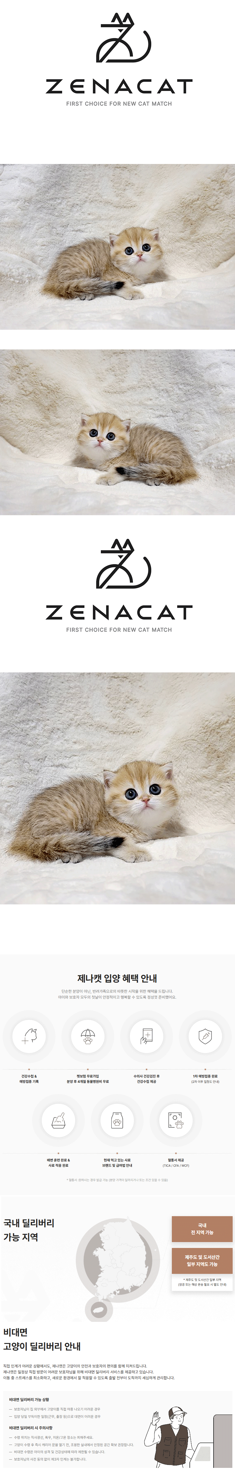 w2.gif