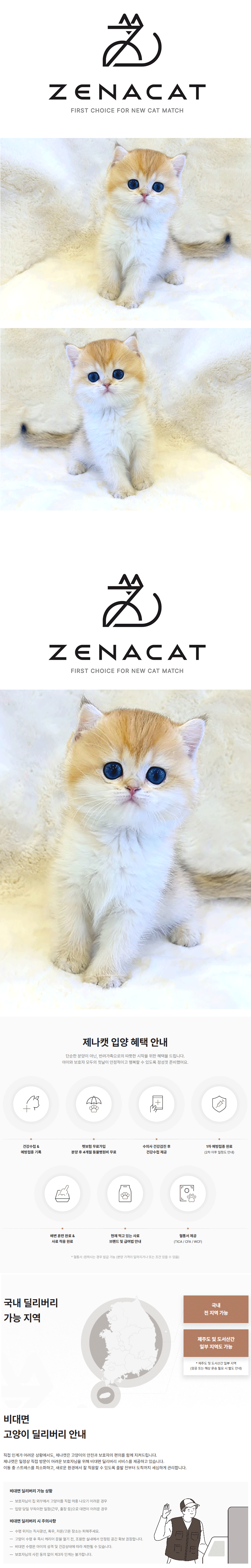 a1.gif