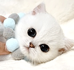 mmm1.gif