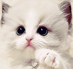 u1.gif