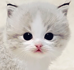 q2.gif