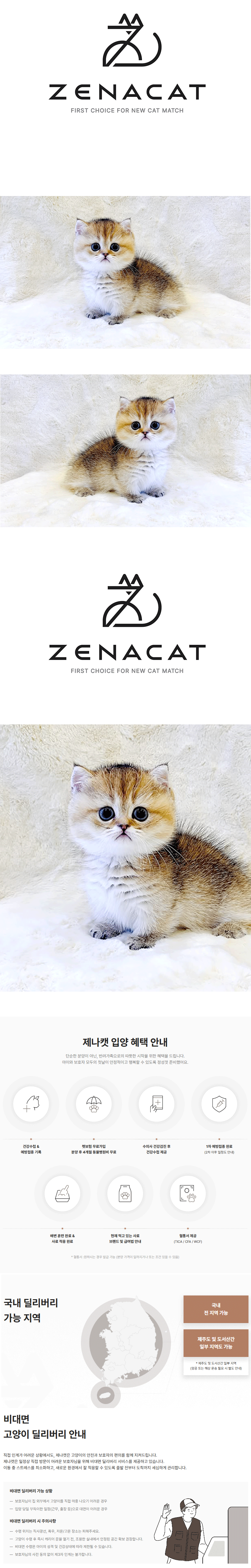 m11.gif