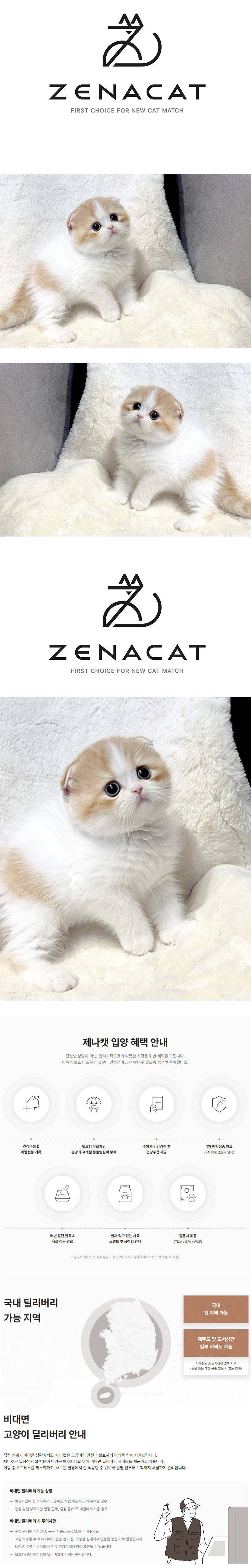 t2.gif