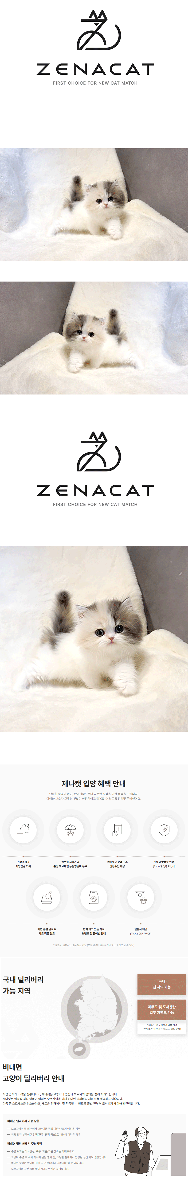 11.gif