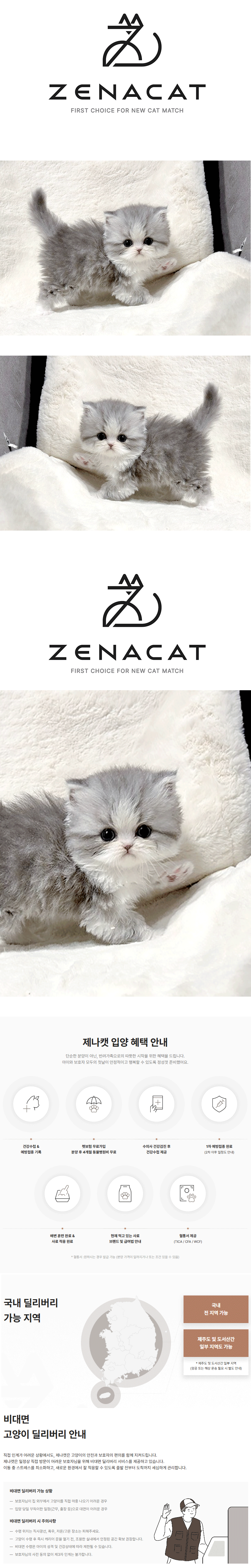 t11.gif