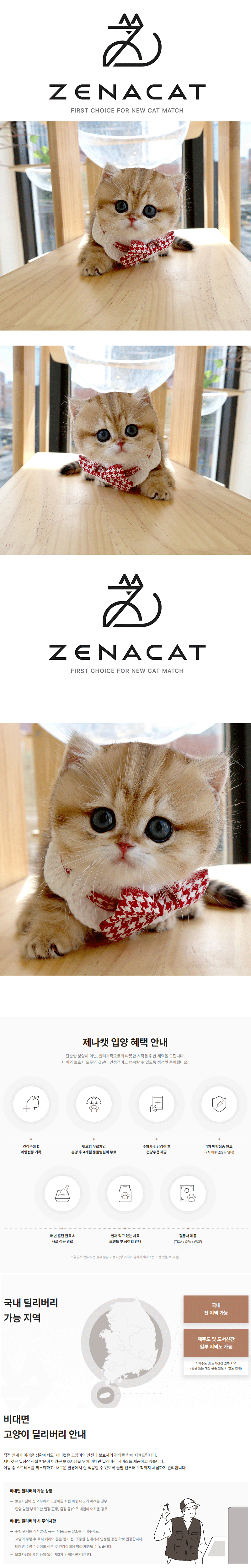 5.gif