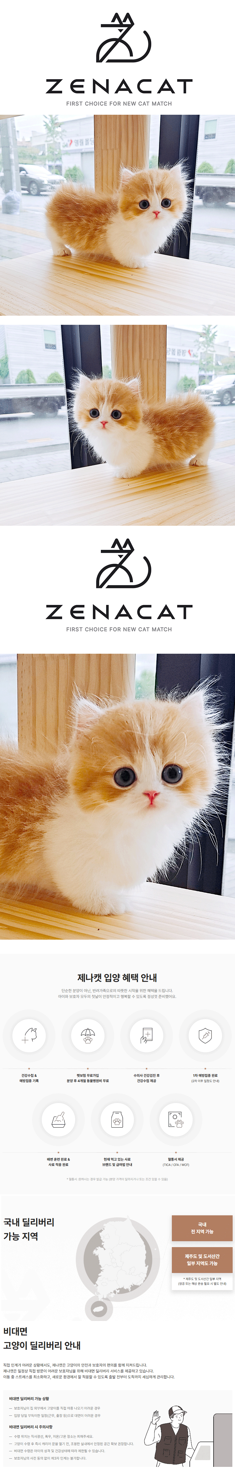 l1.gif