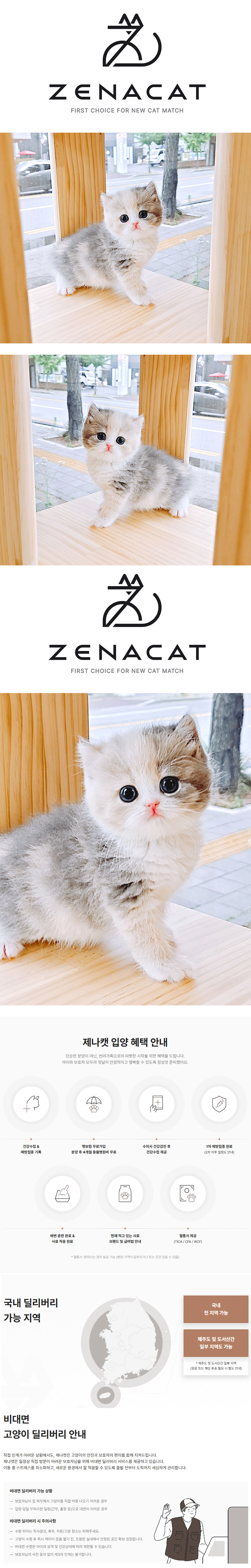 e1.gif