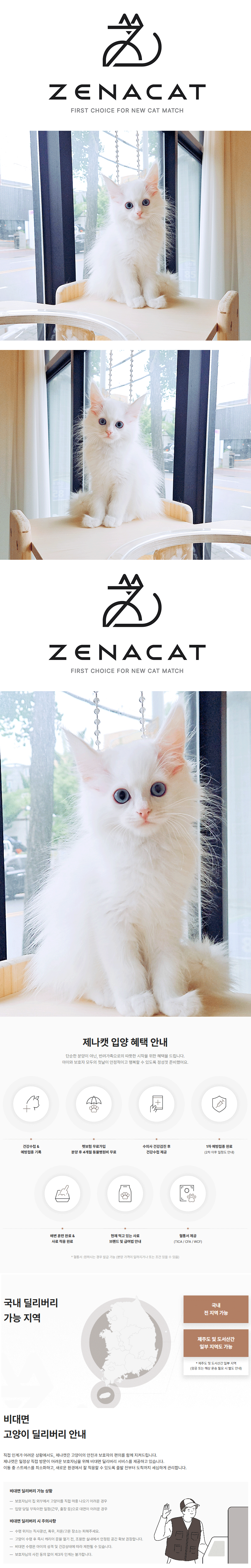 m1.gif