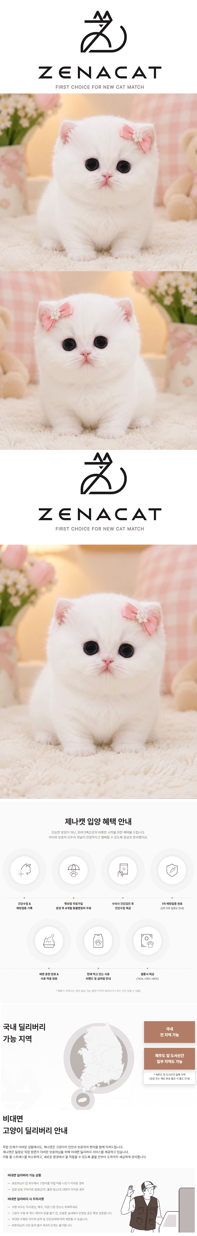 mmmm1.gif